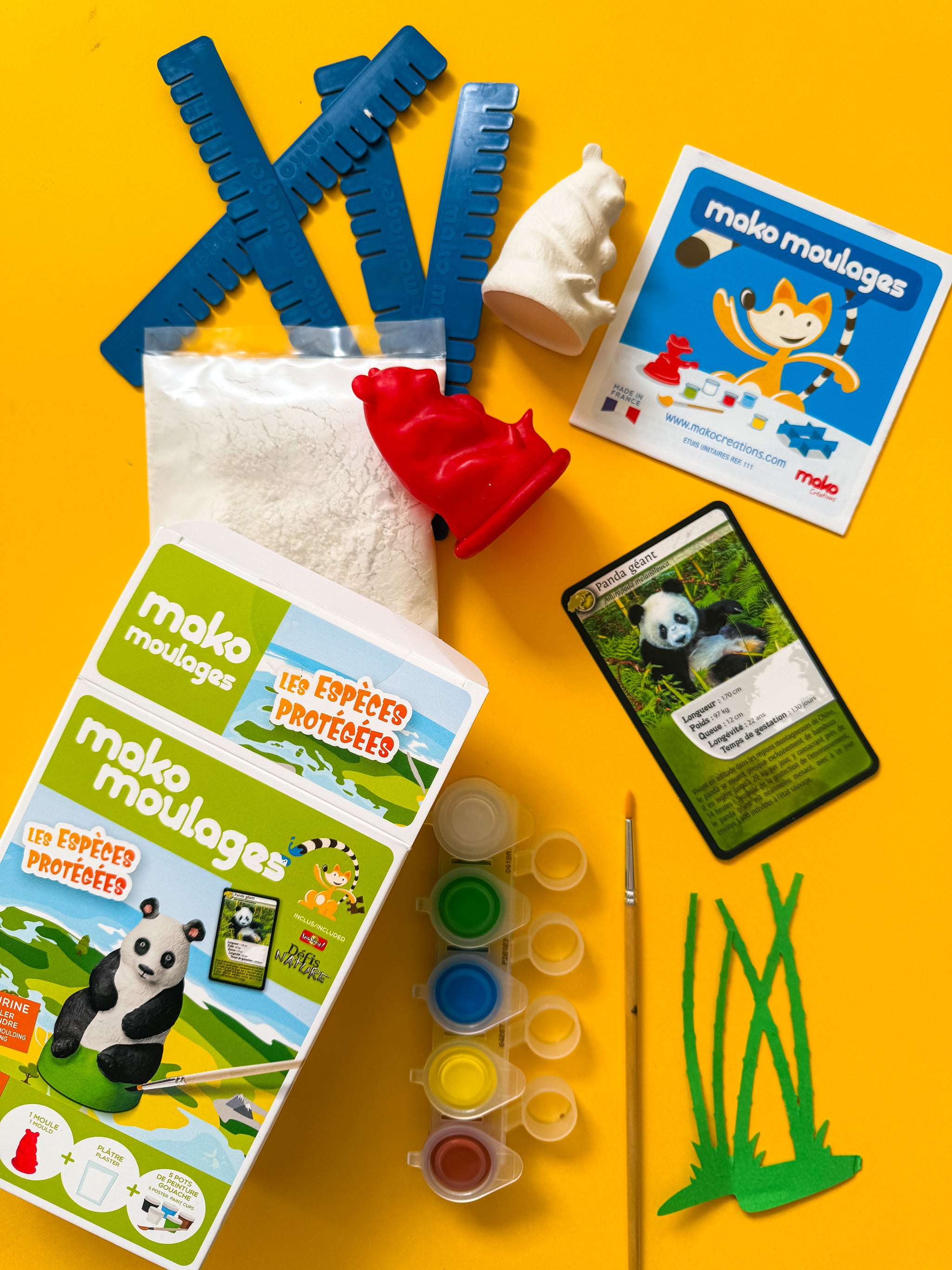 Mako Moulages – Kit Créatif Panda Géant : Moule En Latex, Plâtre, Peinture – Loisir Manuel Enfant 5 Ans+ – Carte Bioviva Défis Nature – Fabriqué En France