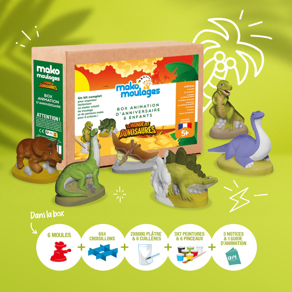 box animation anniversaire dinosaures mako moulages contenu