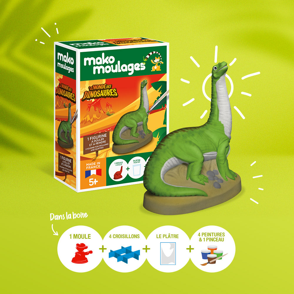 Moulage en plâtre Dinosaure pour enfant - Mako Moulages