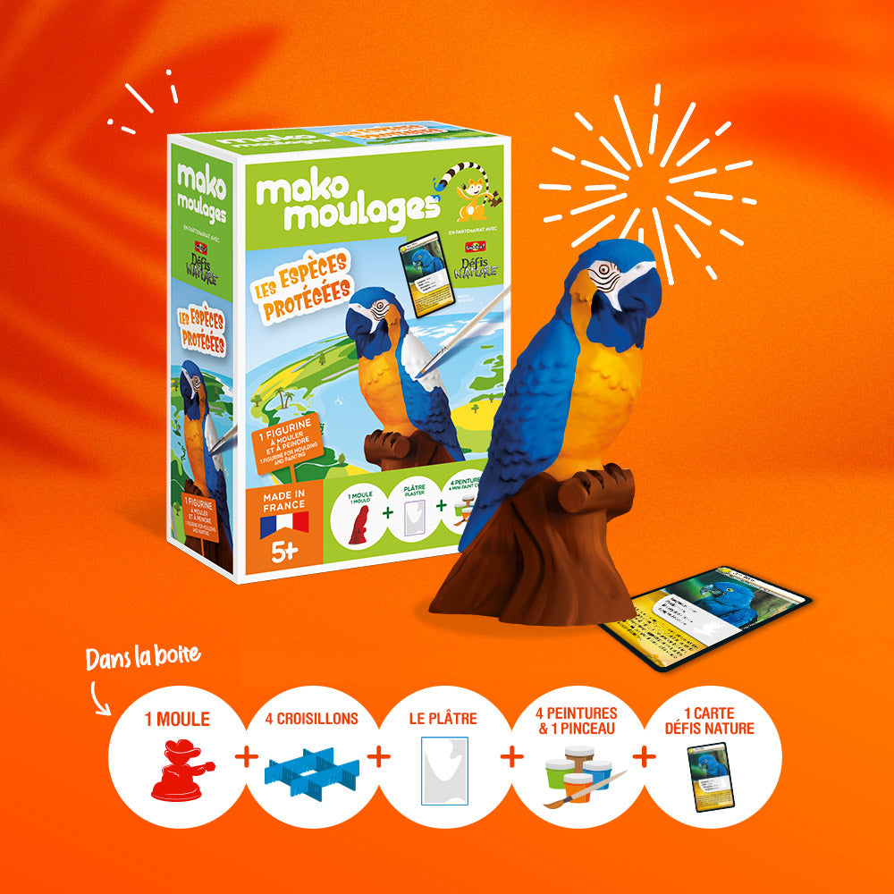 mako moulages ara bleu especes protegees contenu kit loisirs creatifs enfants