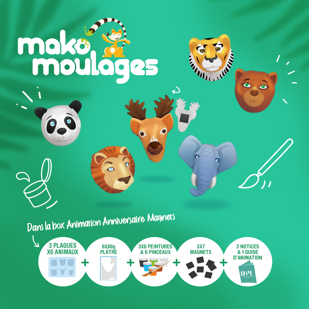 mako moulages box animation  anniversaire enfants mon atelier créatif magnets animaux